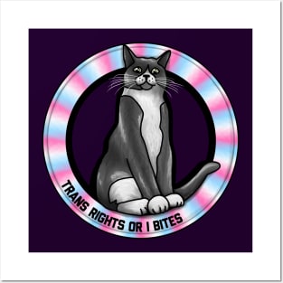 Trans Rights Or I Bites Cat Posters and Art